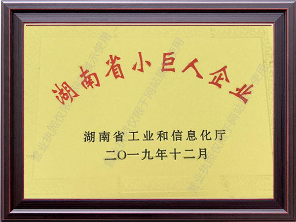 湖南千盟獲選2019湖南省小巨人企業